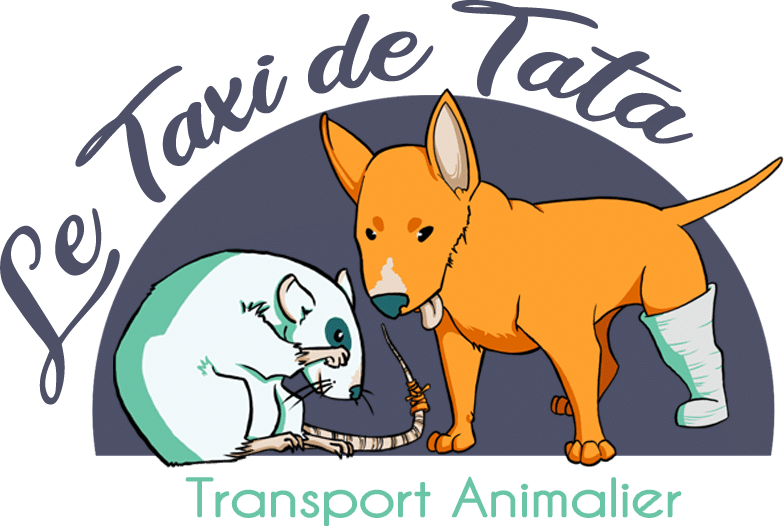 Logo Le taxi de tata Logo de l'entreprise le Taxi de Tata Transport Animalier représentant un chien et un rat
